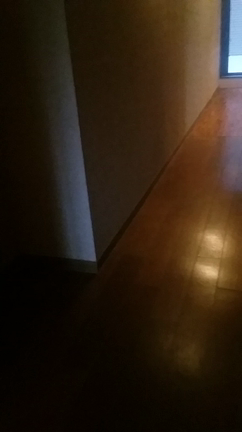 なーさんの記事動画