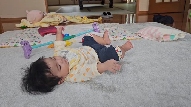 ココ姫の運動会♪(^-^)/の記事動画
