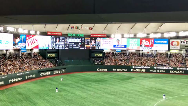 野球観戦の記事動画
