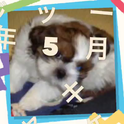 【8月6日の日に〜】の記事動画