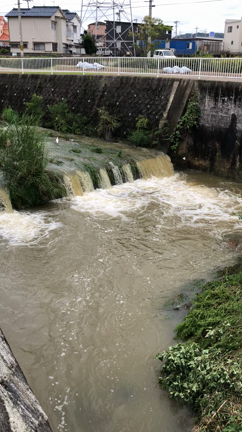 台風の雨のあがってる間にの記事動画