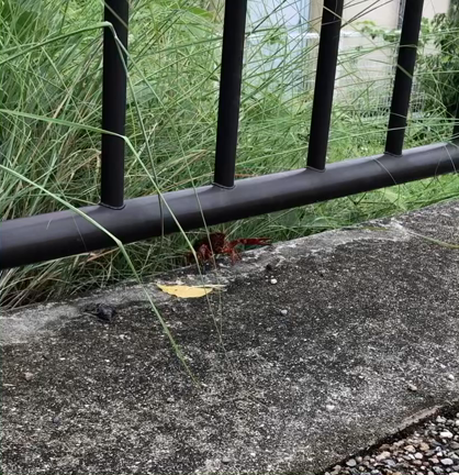 台風の雨のあがってる間にの記事動画