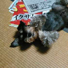やめられない、止まらない！笑の画像