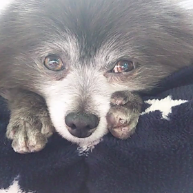 暖か～いの画像