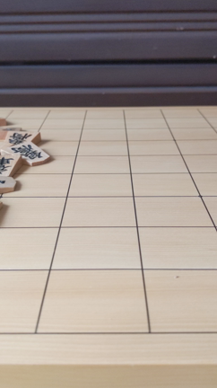 将棋の駒音フェチに捧げる本榧将棋盤の音♪の記事動画