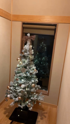 クリスマスツリーの記事動画