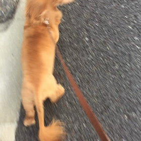 治りましたの画像