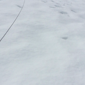 雪遊び 動画編の画像
