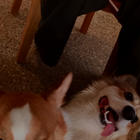 大泉緑地での画像