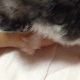 つなぐと運命の出会い、そして動画(^｡^)の画像
