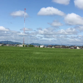 風も気持ちいいの画像