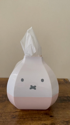 使ってみたら期待値をはるかに超えた！！大満足なティッシュケースの記事動画