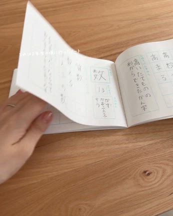 こんなノート見たことない！まるで漢字の自由研究！？の記事動画