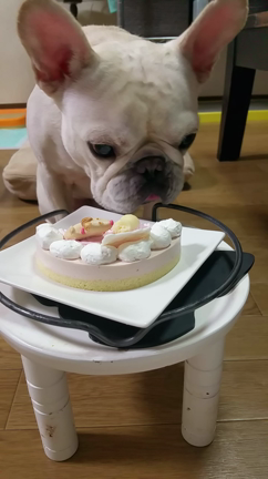 4th  birthday  Rafuteの記事動画