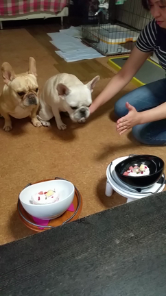 らふて　2才の誕生日の記事動画