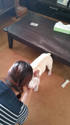 らふて　2才の誕生日の記事動画