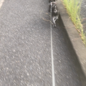今日も乗っけ盛りの画像