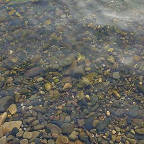 こんな日は気分転換その2の画像