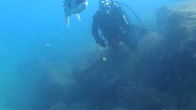西伊豆黄金崎→安良里→鰻グルメツアー（動画アリ）の記事動画