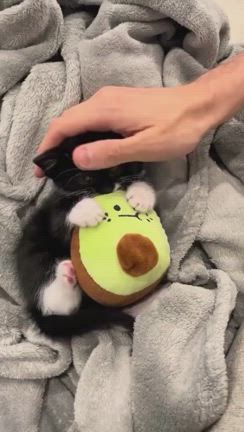 おじさんは可愛いものがお好きの記事動画