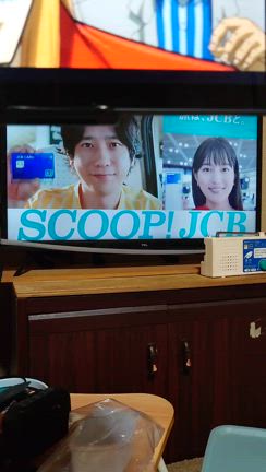 猫ぐるぐるの記事動画