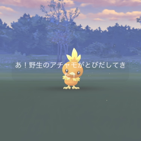 【ポケモンGO】朝から逃げられた！の画像