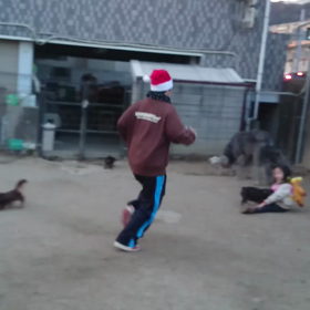 動画★楽しいね(*^^*)！の画像