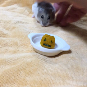 Halloweenでしたねの画像