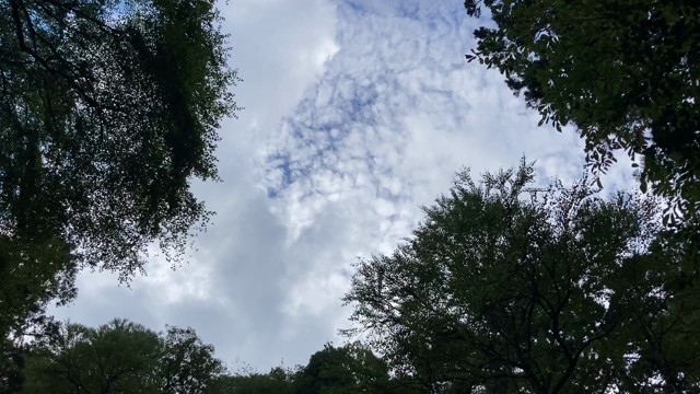 時間感覚がバグり過ぎたの記事動画
