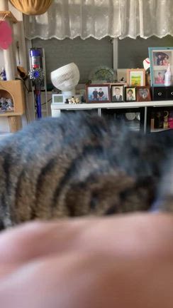 歯科通院を通勤号で〜貧脚日記の記事動画