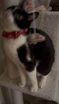 寒暖差がある日々ですが、ネイルは春色✨の記事動画