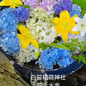 白笹稲荷神社にさりげなく花手水をつくってみましたの画像