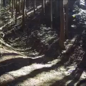 新しい場所の画像