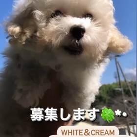 2023/10/25の画像