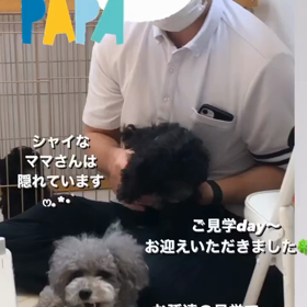 2023/10/14の画像