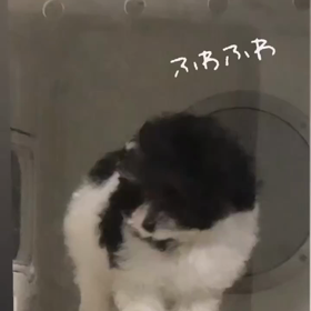 2023/09/29の画像