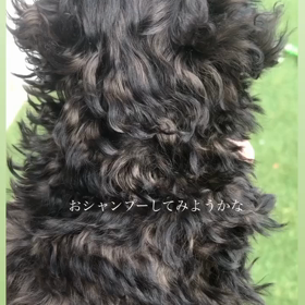 2023/10/29の画像