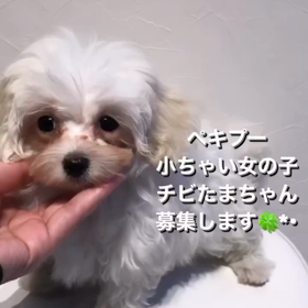 2023/10/22の画像