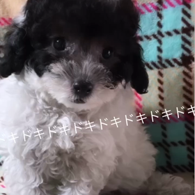 2023/09/15の画像