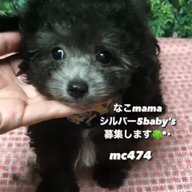 2023/10/07の画像