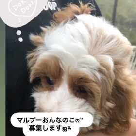 2023/09/25の画像