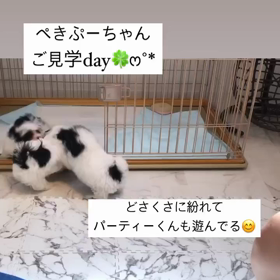 2023/09/24の画像