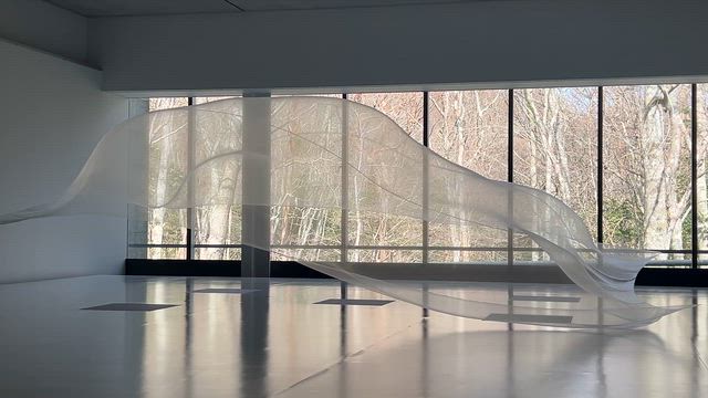 想定外に寒くてびっくり！春の箱根・湯河原の旅の記事動画