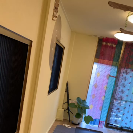 にちようび。の記事動画