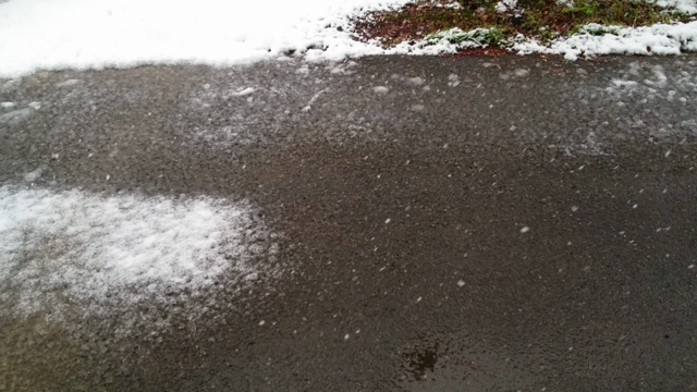 雪✨の記事動画