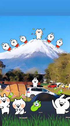 キャンプの記事動画