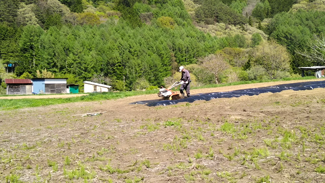 畑始まっていますよ✋の記事動画