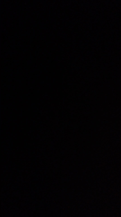 (ﾉ´▽｀)ﾉ♪の記事動画