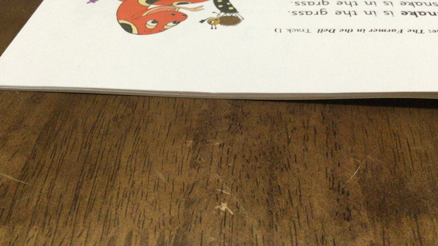 小学生英語レッスン効果持続あり！の記事動画