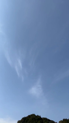 春ーの記事動画